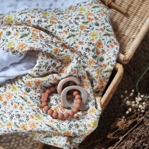 Couverture&#x20;B&#x00E9;b&#x00E9;